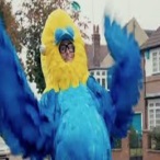 Ava Jackuard profile image