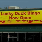 Ava Jackuard profile image