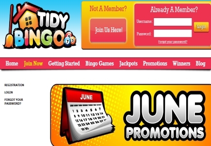 Early Bird or Night Owl At Tidy Bingo