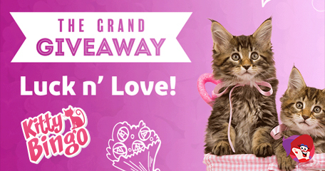 Kayleigh White profile image