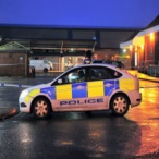 Glo Wood profile image