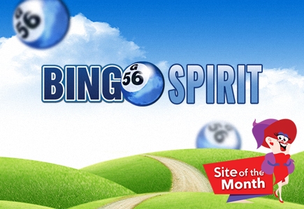 Spotlight on Bingo Spirit this February