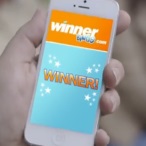 Glo Wood profile image