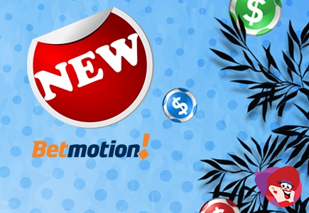 BetMotion Bingo Launched! 