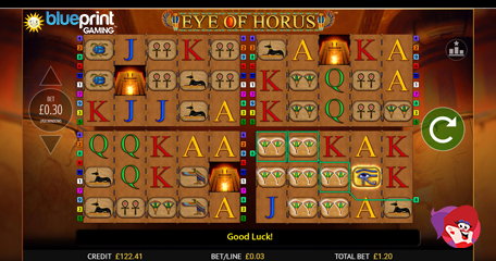 Kayleigh White profile image