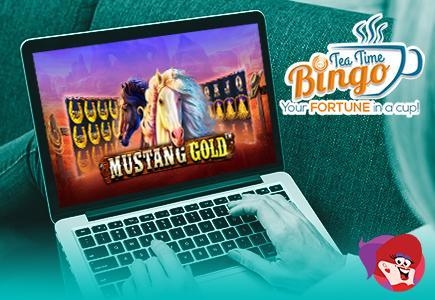 Tea Time Bingo Invites Players to Take a Walk on the Wild Side