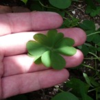 Ava Jackuard profile image