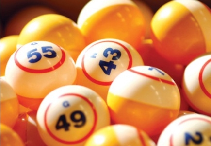 New Feature from Kitty Bingo and Lucky Pants Bingo