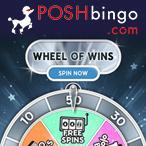 Kayleigh White profile image