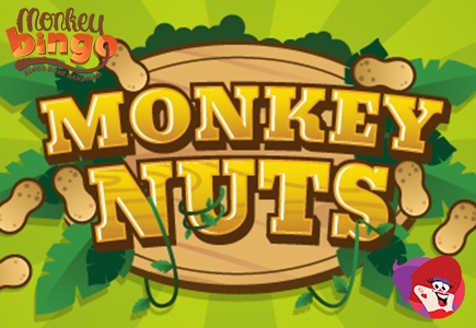 Have a (Banana) Bash at Monkey Bingo with Mad Daily Promotions