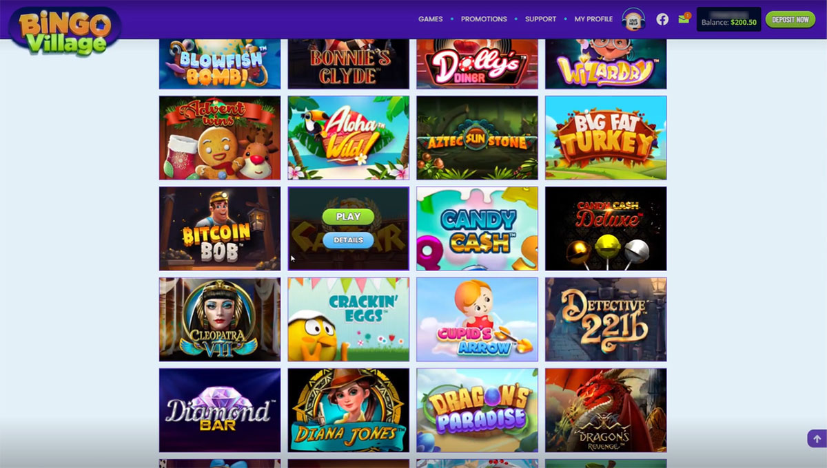 bingo village casino no deposit bonus